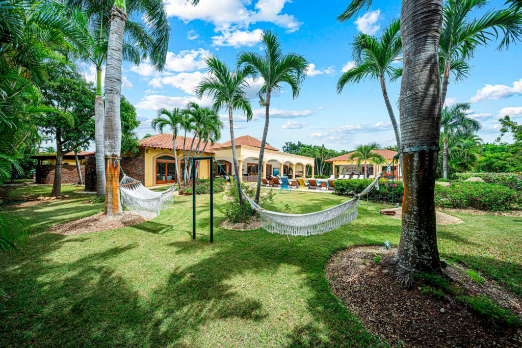 Garden hammock between palms